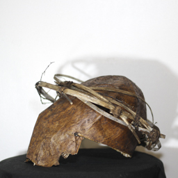 Unmasking Depression Mask