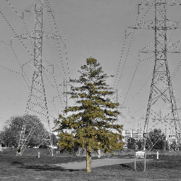 Right of Way: Enlivening the Hydro Corridor