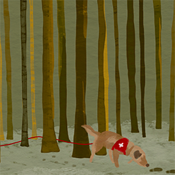 Susannah Charleson and Puzzle