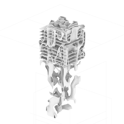 Urban Mycelial Network