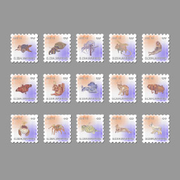 DUE TO GLOBAL WARMING...