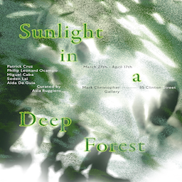 Sunlight in a Deep Forest 