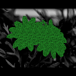 ERROR: NATURE NOT FOUND