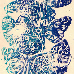 Transperancy with Permanent Marker Drawings & Lino Prints Series "Biodiversity" 