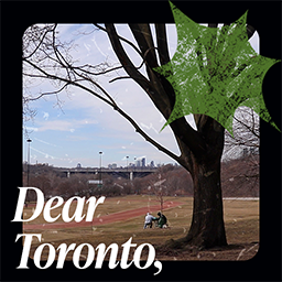 Dear Toronto