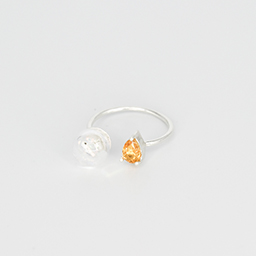The Hamster Gem Ring