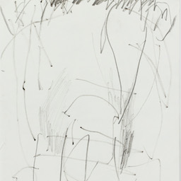 The Thing The Top The Thing On Top (A Dichotomy)