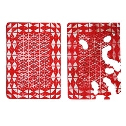 Schrödinger's Playing Card 