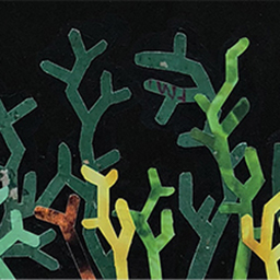 A Vibrant Encounter Part 3