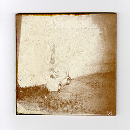 Porcelain and Ceramic