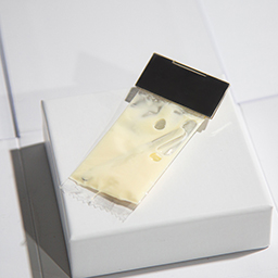 FOOD LOTTERY. (Ice cream brooch)