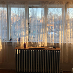 Un/Synthesized Intuition 