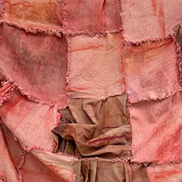 Deirdre Of  The Sorrows