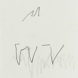 ouch ouch ouch (teeth)