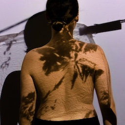 Shadows of Their Sums