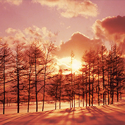 Judgement -Shinpan- Lyric Animation