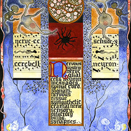 Nervous System part two