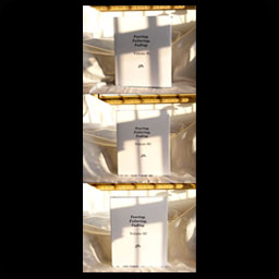 Fearing, Faltering, Fading.