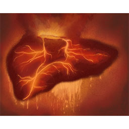 2 - Anger (怒) - Liver