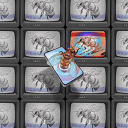 Mimicry and Misinformation