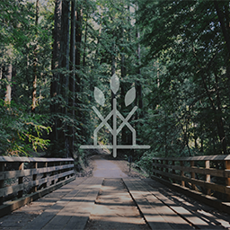 03 Viridia Eco Lodge