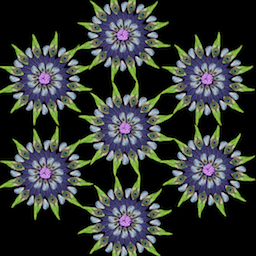 Foraged Digital Collage #1