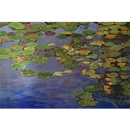 Lily Pads