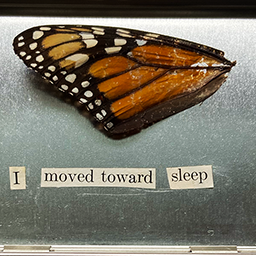 deep in my chest or maybe stomach (no. 16)