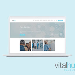 VitalHub Company Website 