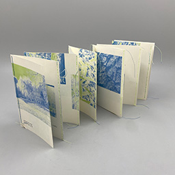 a moment with a tree