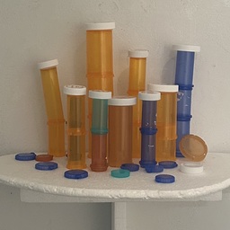 01 Pachycerianthus remedium 