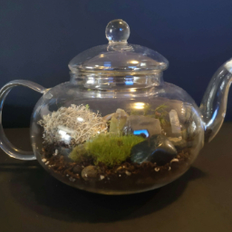 Tea Time Terrarium