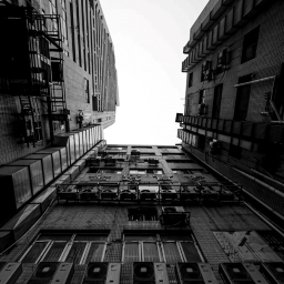 Live in Steel Forest