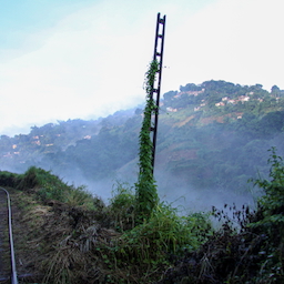 crónicas peculiar de juan j. carbonero