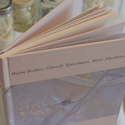 Warm Bodies, Ghostly Specimens, Stoic Machines | Textbook Documented