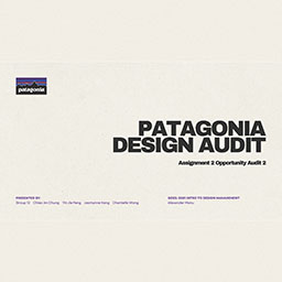 Patagonia Design Audit 