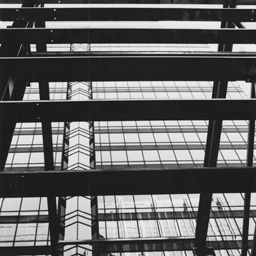 Reflections
