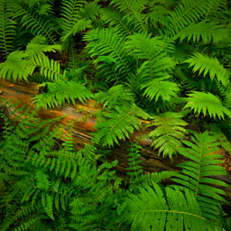 Rouge National Urban Park