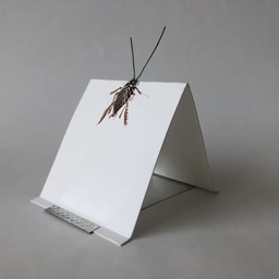 Invitation from G.H.