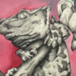 Crested Gecko