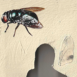 deep in my chest or maybe stomach (detail no. 4)