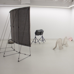 Untitled (installation view)
