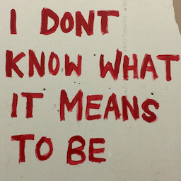 I DONT KNOW WHAT IT MEANS TO BE