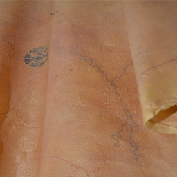 I'm not afraid of outgrowing myself