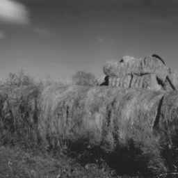 Hay Bales, Essay County