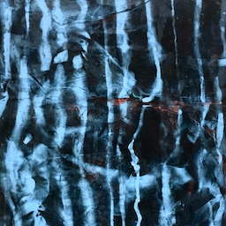 Elastic bands from lobster claws