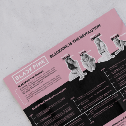 BLACKPINK \ Infographic Design