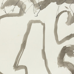 Big Dragon Small Cage