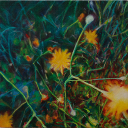 Dandelion (a lot to offer) 