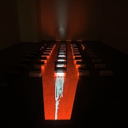 Yellow, Blue and Red: Identity and Stigma, a Collective Identity in Crisis